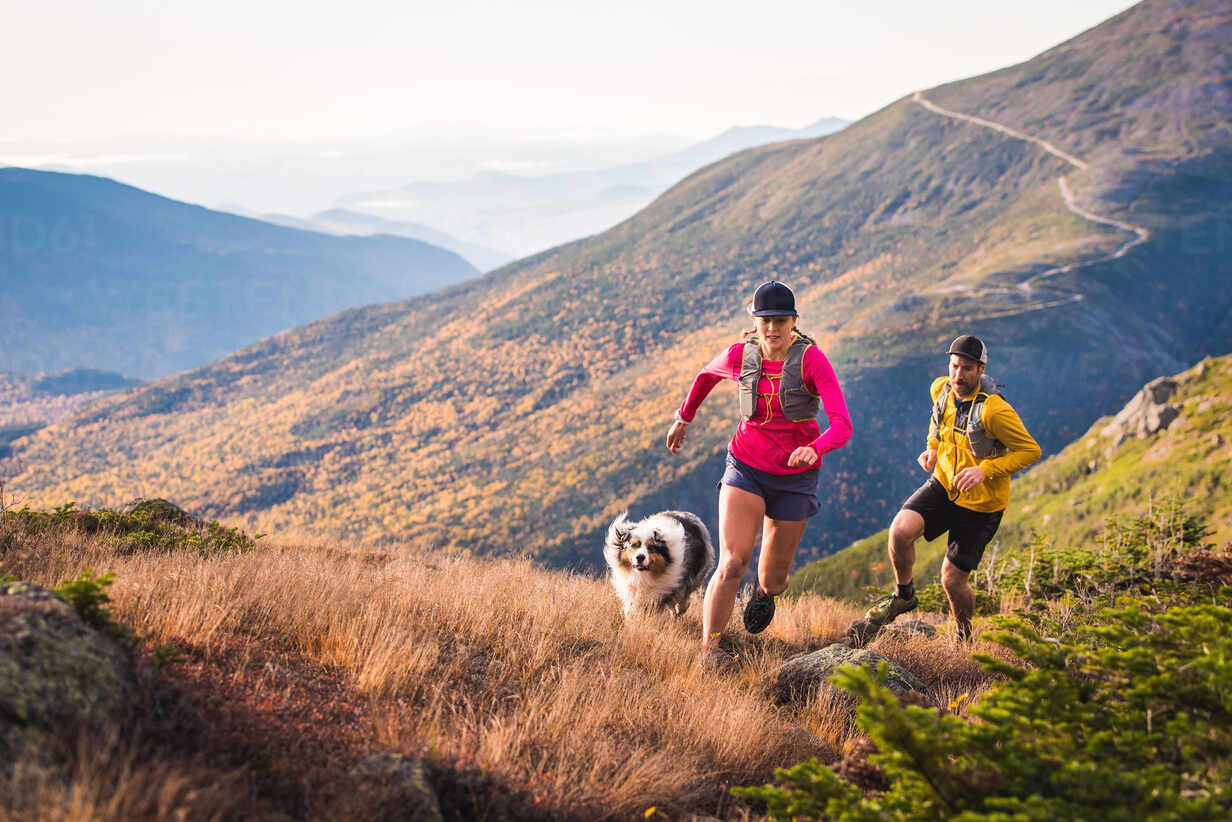 dog running gear for trail running